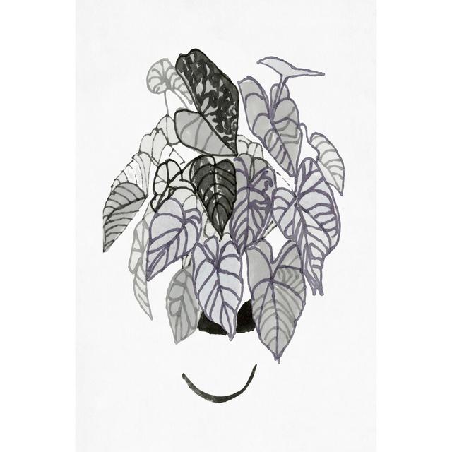 B&W Indoor Plant I by Stellar Design Studio - Wrapped Canvas Painting Rosalind Wheeler Size: 91cm H x 61cm W x 3.8cm D on Productcaster.