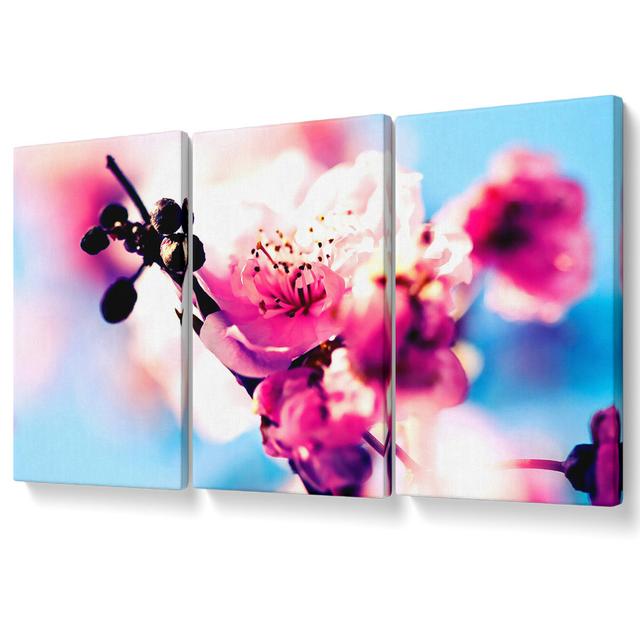 Beautiful Cherry Blossom - 3 Piece Wrapped Canvas Graphic Art Set Ebern Designs Size: 101.6cm H x 203cm W on Productcaster.