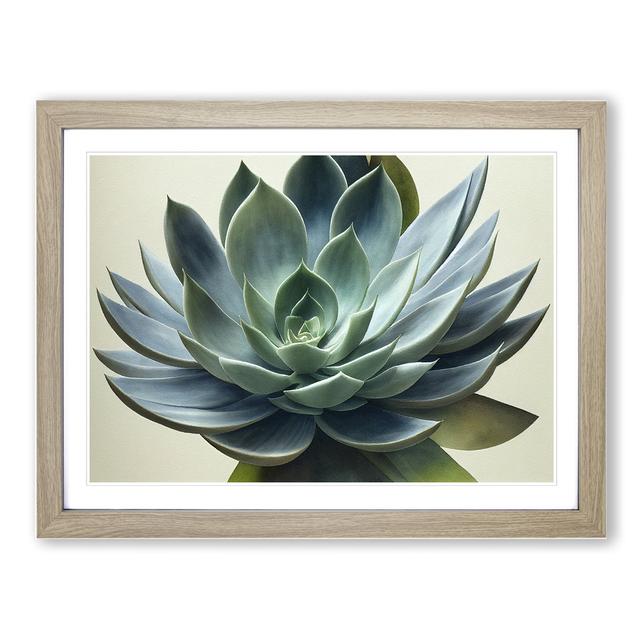 Watercolour Succulent Plant Vol.4 - Picture Frame Graphic Art World Menagerie Size: 46cm H x 64cm W, Format: Light Grey/Brown on Productcaster.