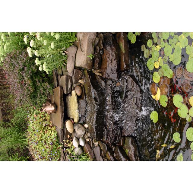 Plant Filled Backyard Garden Pond Oasis - Wrapped Canvas Print Ebern Designs Size: 81cm H x 122cm W x 3.8cm D on Productcaster.