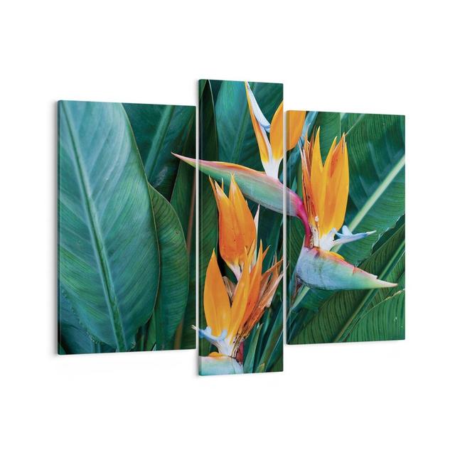 Heavenly Bird Flower - 3 Piece Wrapped Canvas Photograph Bay Isle Home Size: 80cm H x 95cm W on Productcaster.