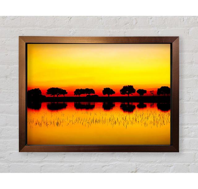 Reflections Of The Sunset Trees Golden Framed Print Haus am Meer Größe: 84,1 cm H x 118,9 cm B on Productcaster.