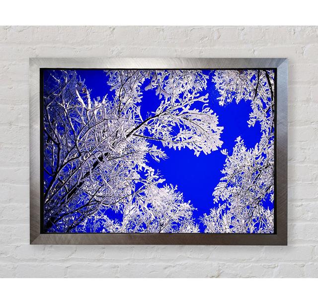 Winter Ice Tree In Sunlight - Single Picture Frame Art Prints Bright Star Größe: 84,1 cm H x 118,9 cm B x 3,4 cm T on Productcaster.