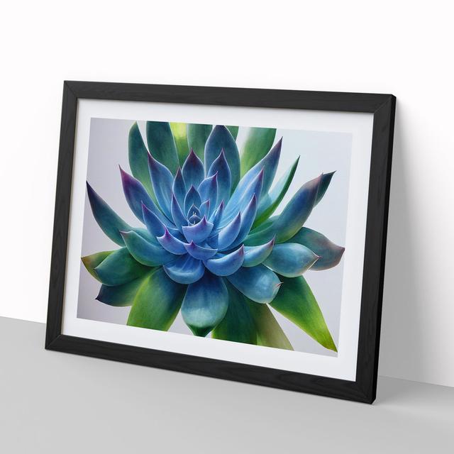 Watercolour Succulent Plant Vol.7 - Picture Frame Graphic Art World Menagerie Size: 46cm H x 64cm W, Frame Colour: Black on Productcaster.