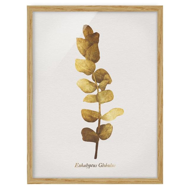 Gold - Eucalyptus - Picture Frame Graphic Art Mercer41 Size: 55cm H x 40cm W x 2cm D, Frame Option: Brown Framed on Productcaster.