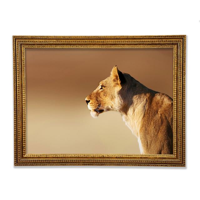 Lioness Wonder - Single Picture Frame Art Prints Ebern Designs Size: 29.7cm H x 42cm W x 3cm D on Productcaster.