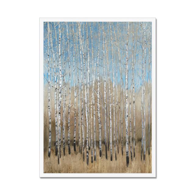 Dusty Blue Birches I by Timothy O' Toole - Wrapped Canvas Painting Alpen Home Size: 80cm H x 55cm W, Format: White Framed Paper Print on Productcaster.