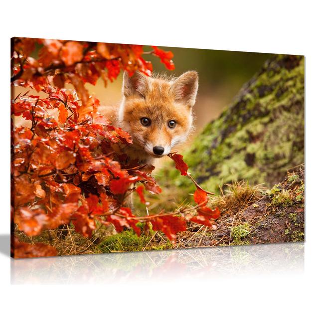 Fox in Autumn Wall Art on Canvas Union Rustic Format: Canvas, Size: 20cm H x 31cm W on Productcaster.