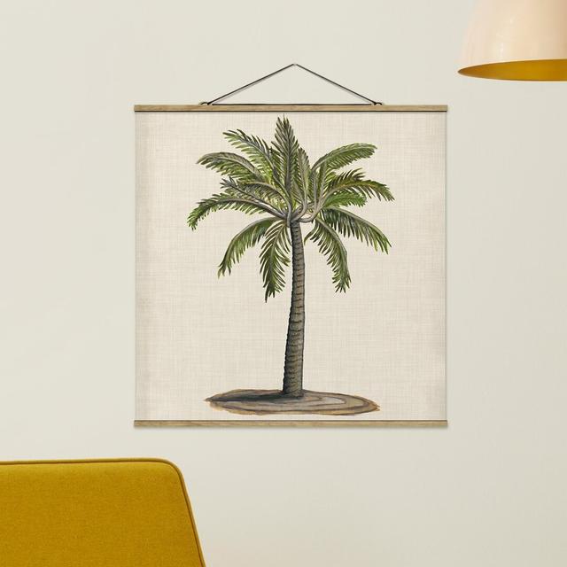 Kunstdruck British Palms I Sansibar Home Größe: 50 cm H x 50 cm B x 0,3 cm T on Productcaster.