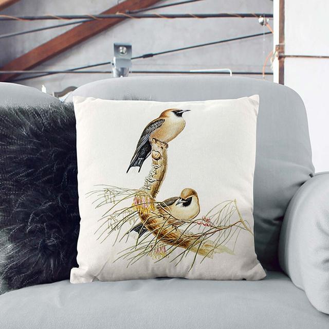 Black-Faced Wood Swallow S by Elizabeth Gould Cushion with Filling East Urban Home Size: 55cm H x 55cm W x 20cm D, Backing Colour: Black on Productcaster.