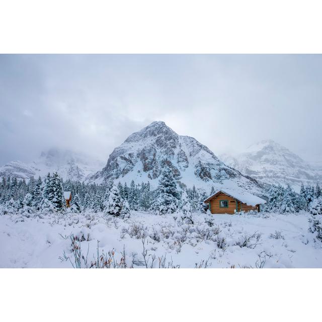 Snow by Spondylolithesis - Wrapped Canvas Art Prints Alpen Home Size: 20cm H x 30cm W x 3.8cm D on Productcaster.