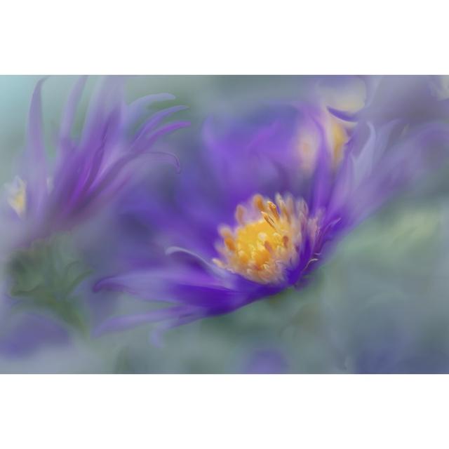 Gold and Purple in the Mist II by Gillian Hunt - Wrapped Canvas Photograph Marlow Home Co. Size: 20cm H x 30cm W on Productcaster.