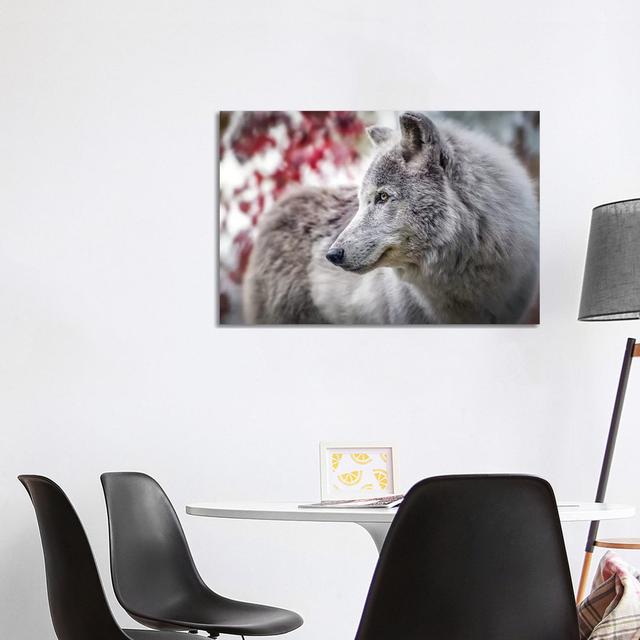 Grey Timber Wolf Portrait by Nik Rave - Wrapped Canvas Print Alpen Home Size: 66.04cm H x 101.6cm W x 3.81cm D on Productcaster.