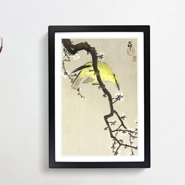 Chinese Oriole Bird on a Plum Blossom by Ohara Koson - Picture Frame Painting Print East Urban Home Size: 36cm H x 27cm W x 2cm D, Frame Option: Black on Productcaster.