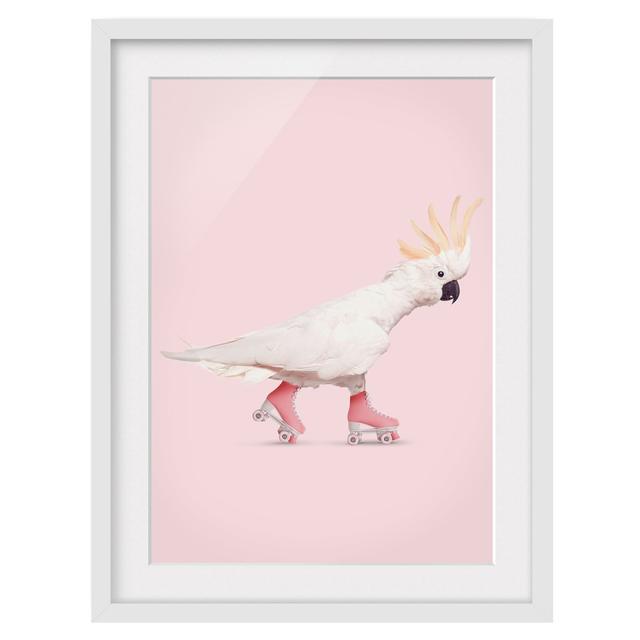 Picture With Frame - Jonas Loose - Cockatoo With Roller Skates - Portrait 4:3 - B Maturi Frame Option: White Framed, Size: 55cm H x 40cm W x 2cm D on Productcaster.