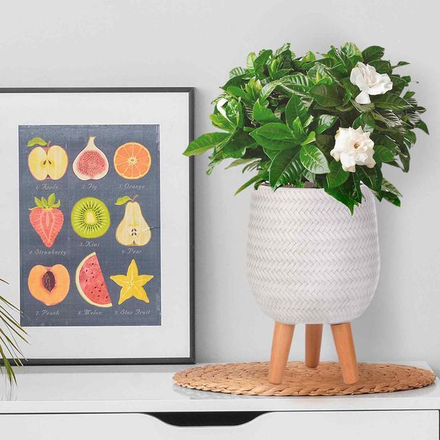 Idealist Plaited Style Egg Planter With Legs, Round Indoor Plant Pot Stand For Indoor Plants Idealist Size: 34cm H x 22cm W x 22cm D, Colour: White on Productcaster.