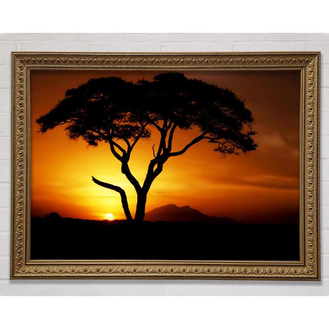 African Tree In Golden Sunlight - Print Ebern Designs Size: 42cm H x 59.7cm W x 3cm D on Productcaster.