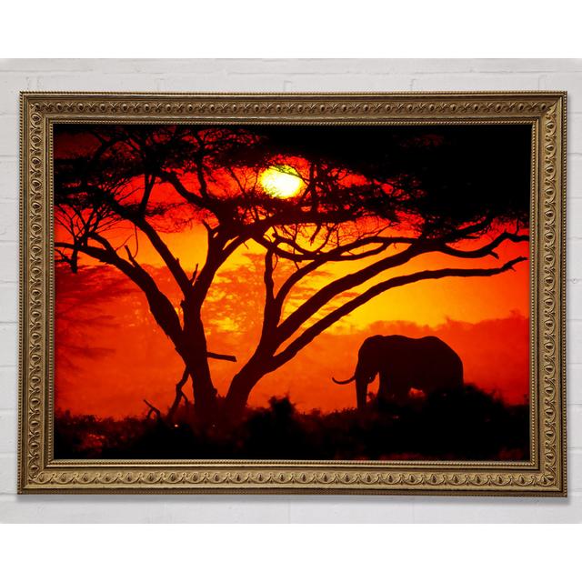 Elephant Safari Sunrise - Single Picture Frame Art Prints Ebern Designs Size: 42cm H x 59.7cm W on Productcaster.