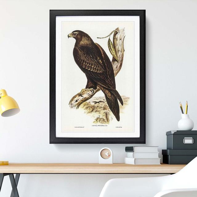 Wedge-Tailed Eagle by Elizabeth Gould - Picture Frame Painting Print East Urban Home Frame Option: Black Framed, Size: 36cm H x 27cm W x 2cm D on Productcaster.