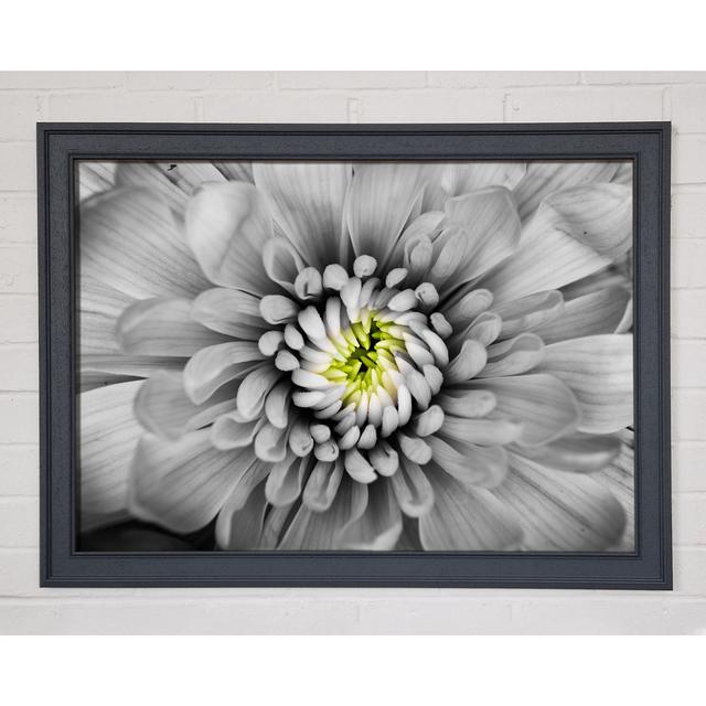 Single Picture Frame Art Prints Ebern Designs Size: 21cm H x 29.7cm W x 1.5cm D on Productcaster.