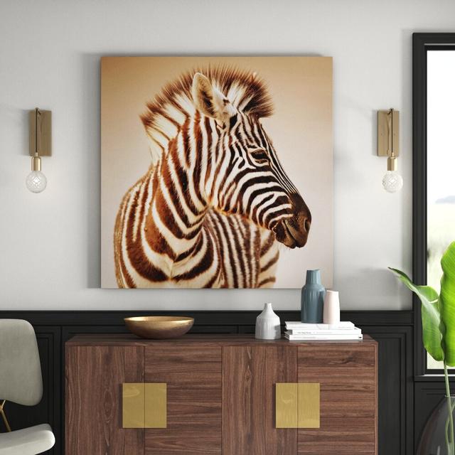 Baby Zebra Portrait - Wrapped Canvas Photograph Print East Urban Home Size: 70cm L x 70cm W on Productcaster.