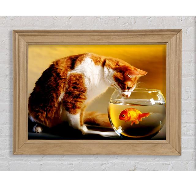 Single Picture Frame Art Prints Bright Star Size: 59.7cm H x 84.1cm W on Productcaster.