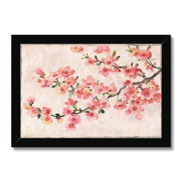 Cherry Blossom Composition I by Timothy O' Toole - Painting Etta Avenue Size: 24cm H x 34cm W, Format: Black Framed Paper Print on Productcaster.