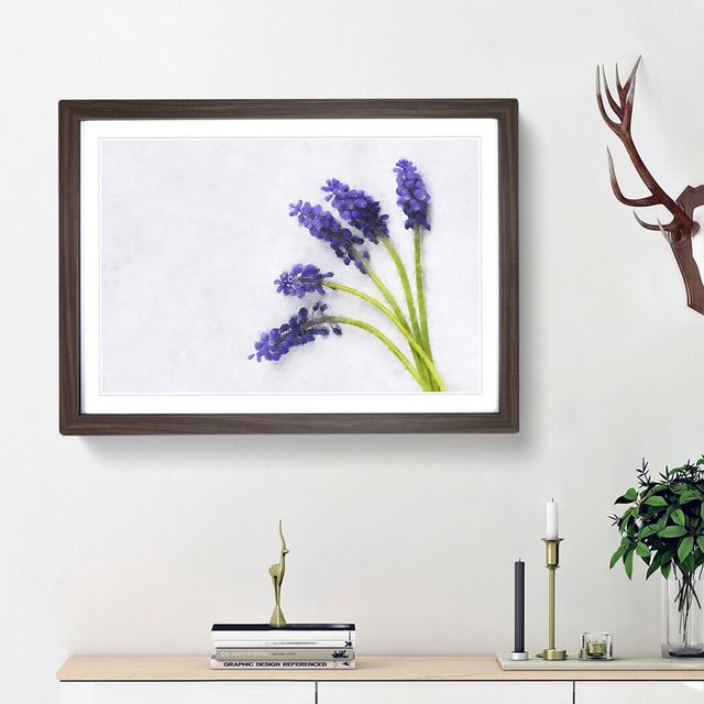 Grape Hyacinth Flower - Picture Frame Graphic Art Print East Urban Home Size: 33cm H x 45cm W x 2cm D, Frame Option: Walnut Framed on Productcaster.