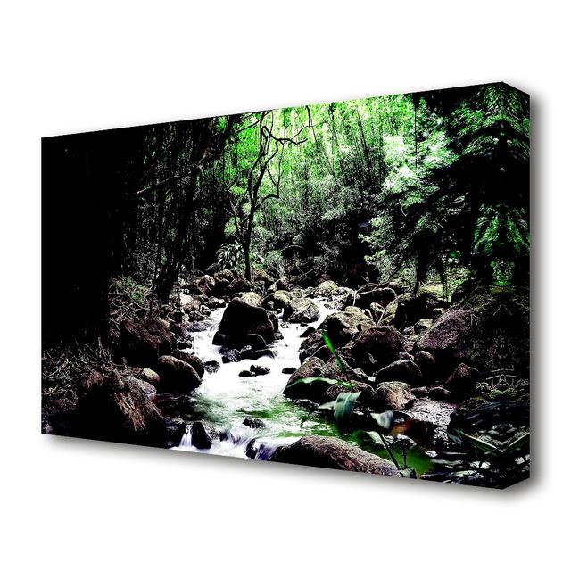 'Rainforest Creek Forest' - Canvas Print Wall Art East Urban Home Size: 66 cm H x 101.6 cm W on Productcaster.