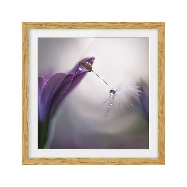 Purple Rain Framed Photographic Print East Urban Home Frame Options: Natural oak, Size: 50cm H x 50cm W on Productcaster.