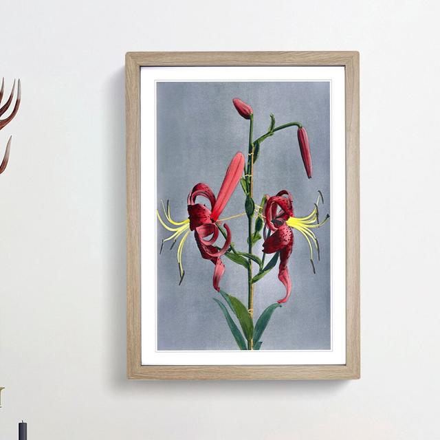 Pink Lilies by Kazumasa Ogawa - Picture Frame Graphic Art Print East Urban Home Size: 36cm H x 27cm W x 2cm D, Frame Option: Oak Framed on Productcaster.