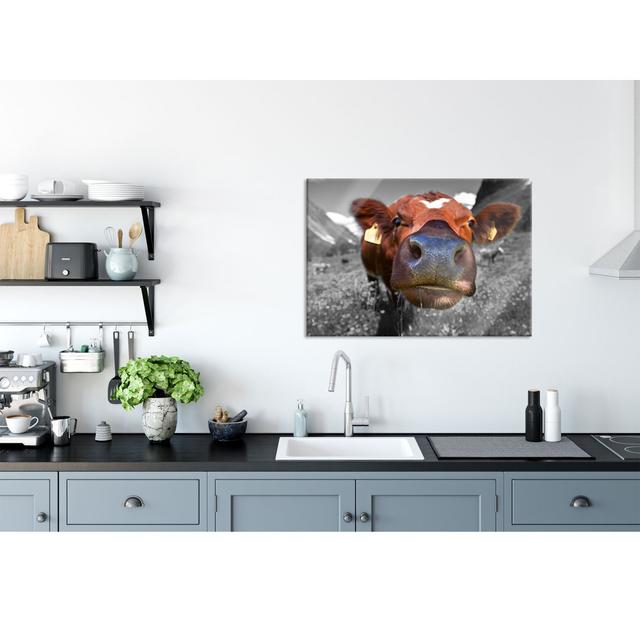 Full-grown Cow In A Mountain Meadow - No Frame Print on Glass August Grove Size: 70cm H x 100cm W x 0.4cm D on Productcaster.