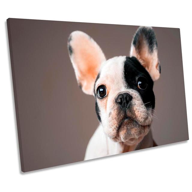 French Bulldog Cute Framed - Wrapped Canvas Art Prints 17 Stories Size: 30.5cm H x 45.7cm W x 2cm D on Productcaster.