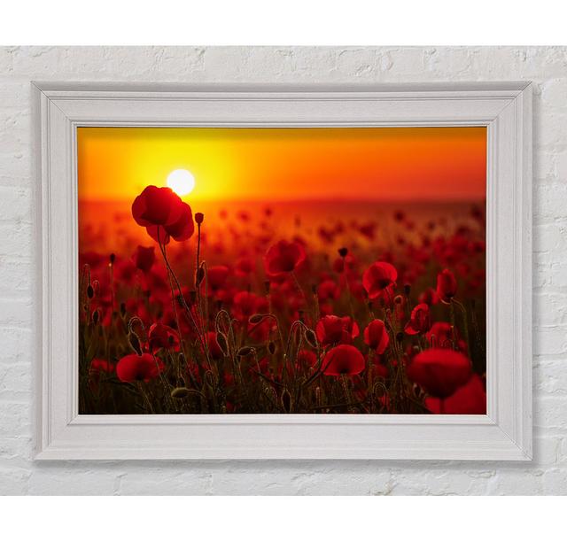 Poppies In The Sunset Reds - Print Ebern Designs Size: 59.7cm H x 84.1cm W x 8cm D on Productcaster.