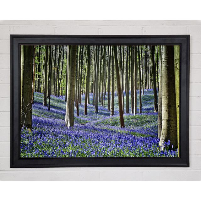 Stunning Beautiful Lilac Woodland Walk Framed Print Union Rustic Size: 29.7cm H x 42cm W x 1.5cm D on Productcaster.