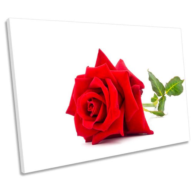 Red Rose Flower - Wrapped Canvas Print Canora Grey Size: 30.5cm H x 45.7cm W x 2cm D on Productcaster.