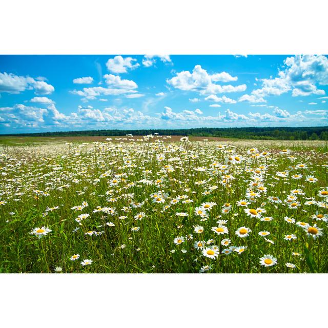 Parc Blossoming Meadow - Wrapped Canvas Print Latitude Run Size: 81cm H x 122cm W x 3.8cm D on Productcaster.