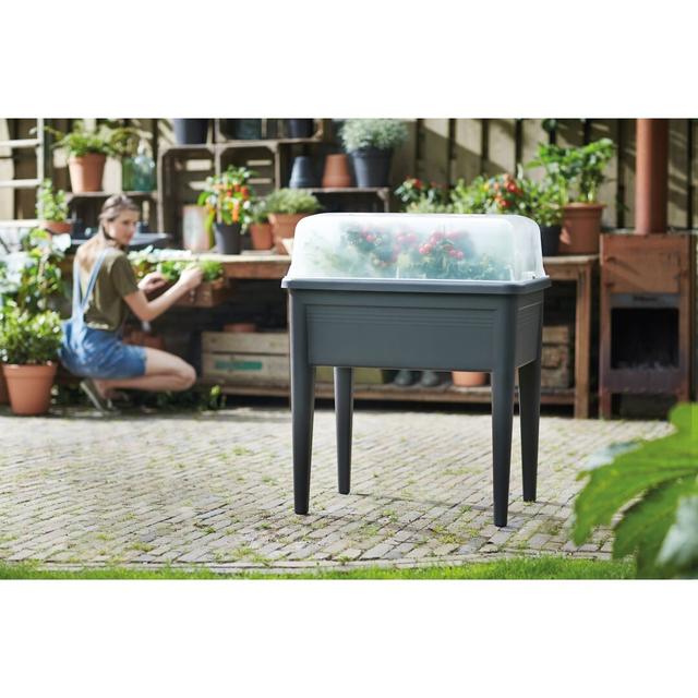 Green Basics Grow Your Own Table Planter Elho Size: 20.3cm H x 74.8cm W x 74.8cm D, Colour: Transparent on Productcaster.