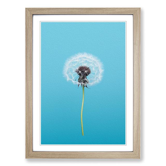 Dandelion Minimalism - Print Marlow Home Co. Format: Oak Framed, Size: 46cm H x 34cm W on Productcaster.