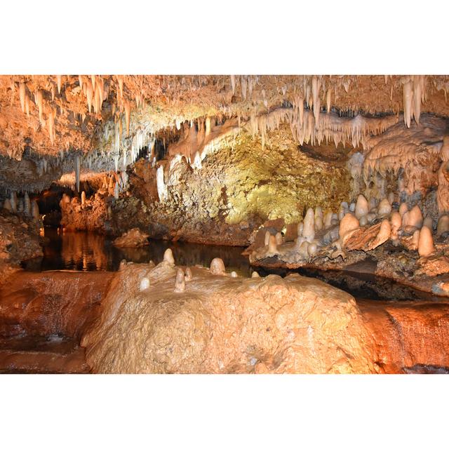 Harrison's Cave, Barbados by Nandani Bridglal - Wrapped Canvas Photograph Alpen Home Size: 51cm H x 76cm W x 3.8cm D on Productcaster.