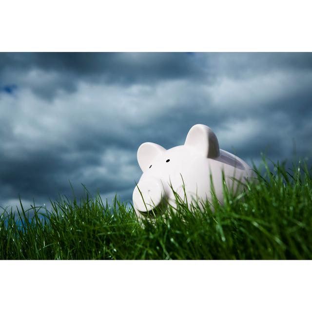 Piggy bank Latitude Run Size: 51cm H x 76cm W on Productcaster.