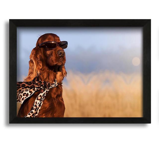 Glamorous Irish Setter Dog - Picture Frame Photograph on Canvas Maturi Size: 42cm H x 60cm W x 10cm D on Productcaster.