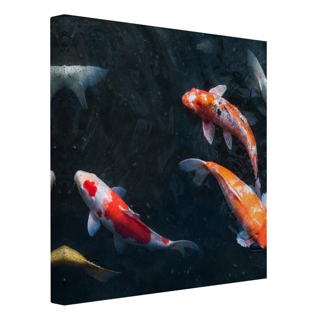 Koi in a Pond - Wrapped Canvas Photograph Bay Isle Home Size: 40cm H x 40cm W on Productcaster.