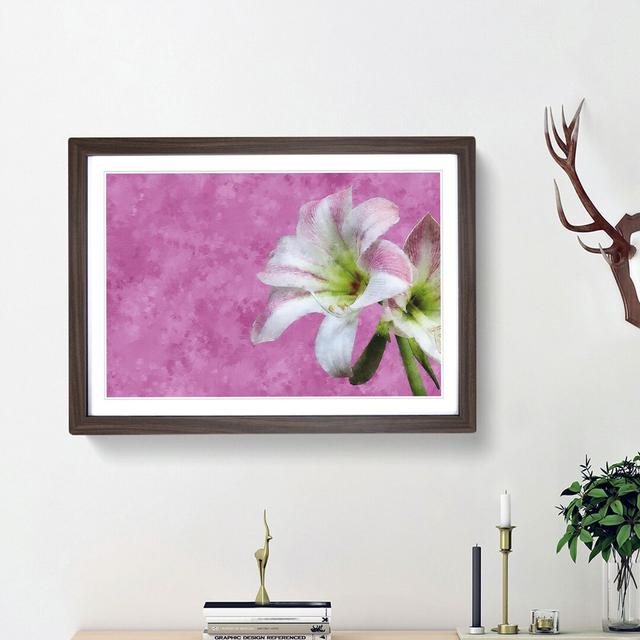 Pink and White Amaryllis Flower - Picture Frame Painting Print East Urban Home Size: 45cm H x 63cm W x 2cm D, Frame Option: Walnut Framed on Productcaster.