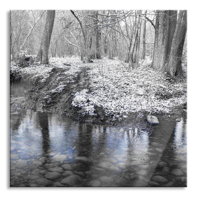 Snow Covered Forest Floor - Unframed Photograph on Glass Union Rustic Size: 80cm H x 80cm W x 0.4cm D on Productcaster.