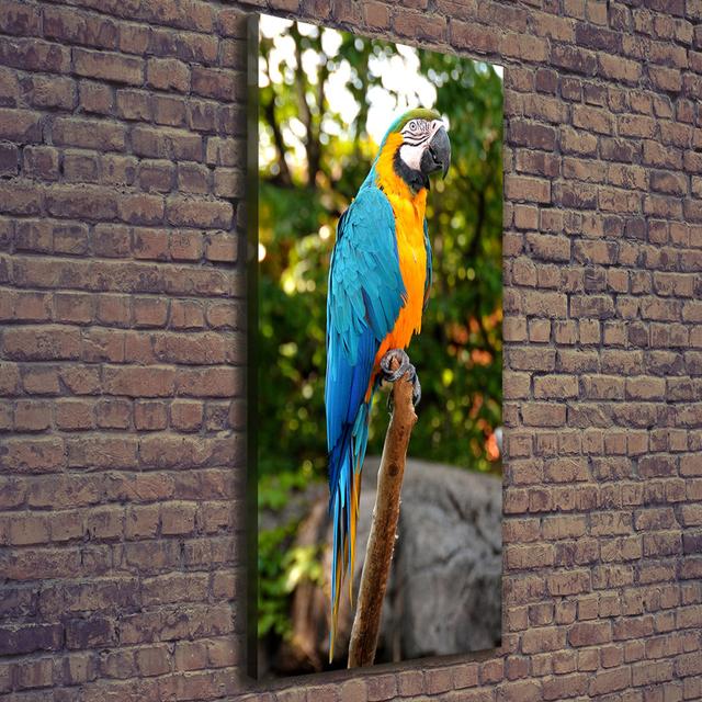 Ara Parrot - Wrapped Canvas Art Prints Bay Isle Home on Productcaster.