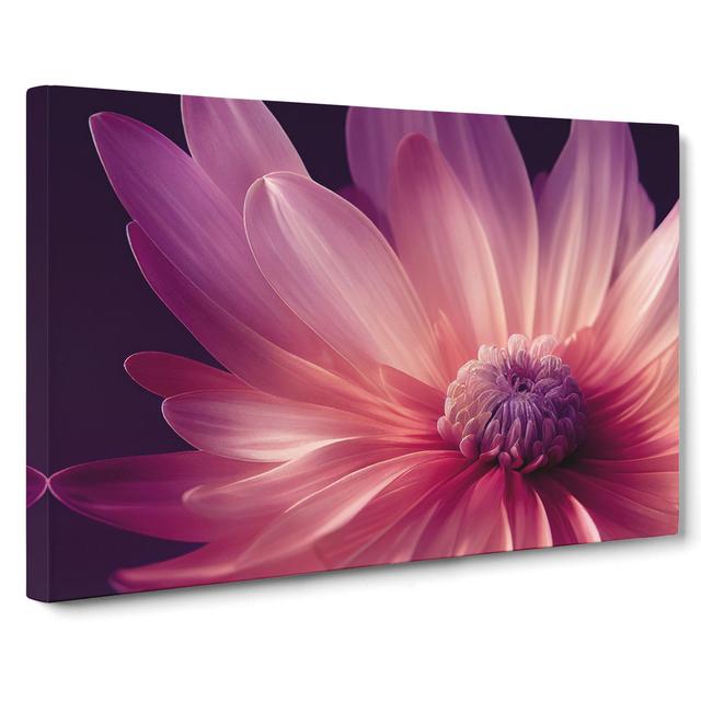 Cute Chrysanthemum Flower Vol.4 - Wrapped Canvas Graphic Art 17 Stories Size: 35cm H x 50cm W x 3cm D on Productcaster.