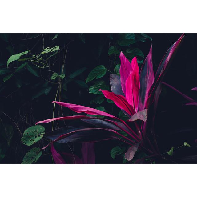 Tropical Plants by Beli_photos - Wrapped Canvas Print 17 Stories Size: 20cm H x 30cm W on Productcaster.