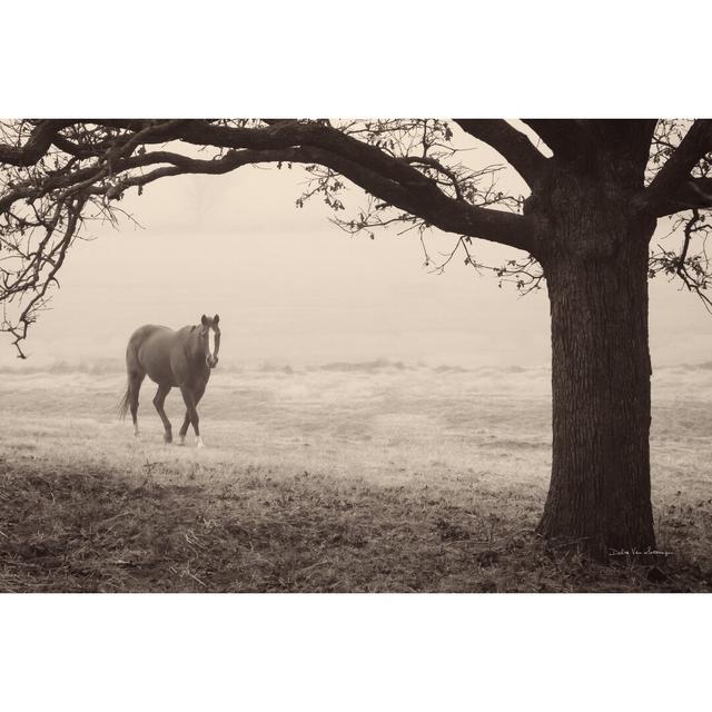 Hazy Horse I by Debra Van Swearingen - Wrapped Canvas Photograph Union Rustic Size: 30cm H x 46cm W on Productcaster.