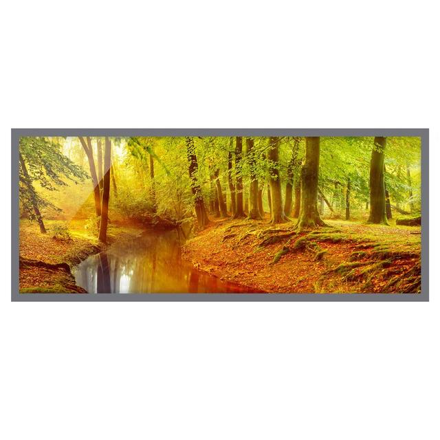 Autumn Forest - Picture Frame Graphic Art Union Rustic Size: 40cm H x 100cm W x 2cm D, Frame Option: Grey Framed on Productcaster.